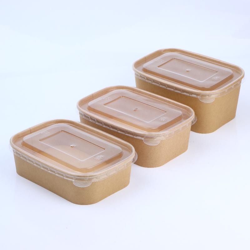 10Pcs Square Disposable Kraft  - Meal Prep Bowl recension och pris