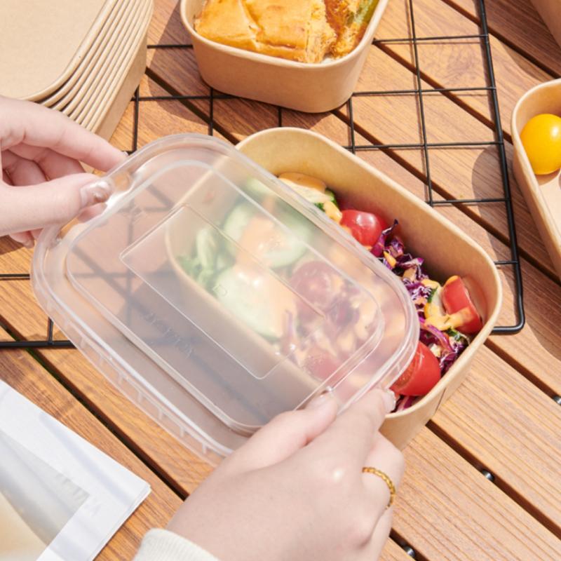 * 10PCS/Set Disposable Lunch B - Meal Prep Bowl recension och pris