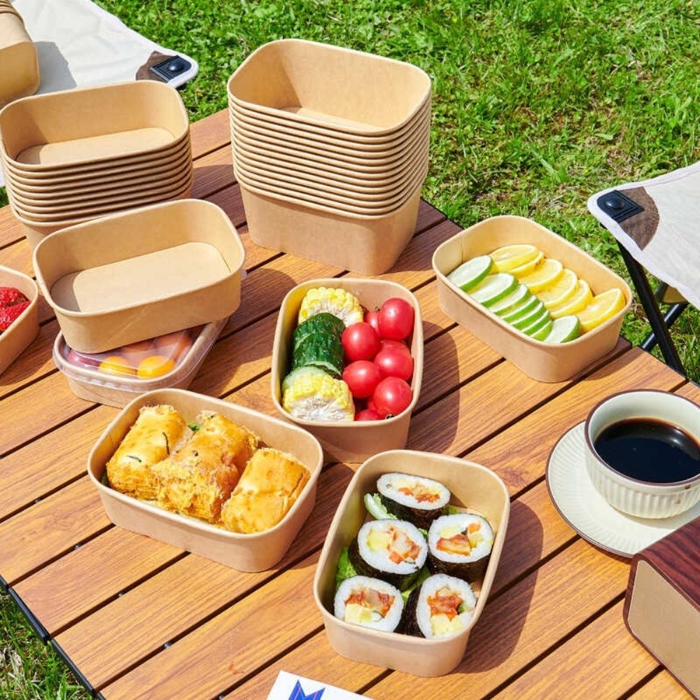10PCS/Set Square Disposable Lu - Meal Prep Bowl recension och pris