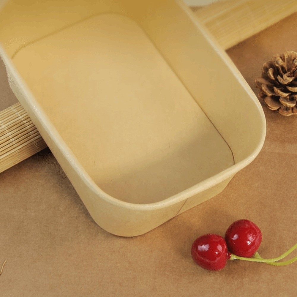 10PCS/Set Square Disposable Lu - Meal Prep Bowl recension och pris